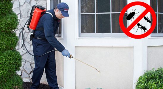 Yığılca Gümüşkurt İlaçlama böcek ilaçlama ve haşere kontrolü — ilaclama-tr.com